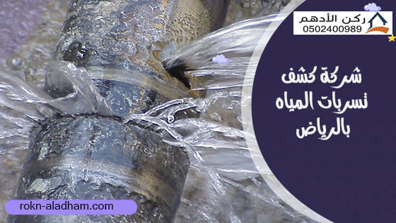 شركة كشف تسربات المياه الرياض